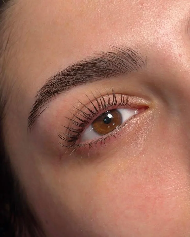 Auge mit gepflegten, gelifteten Wimpern